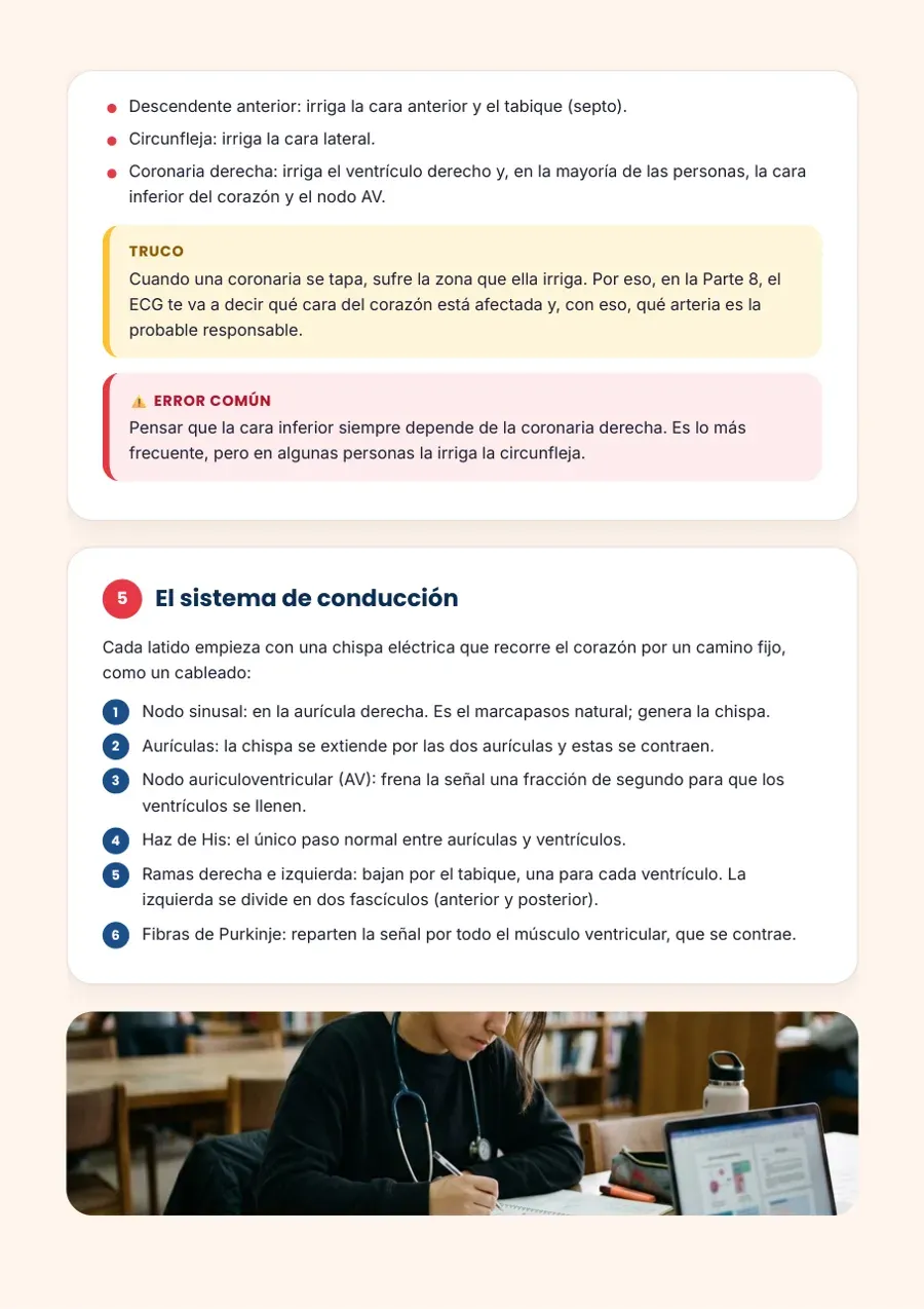 Página: sistema de conducción