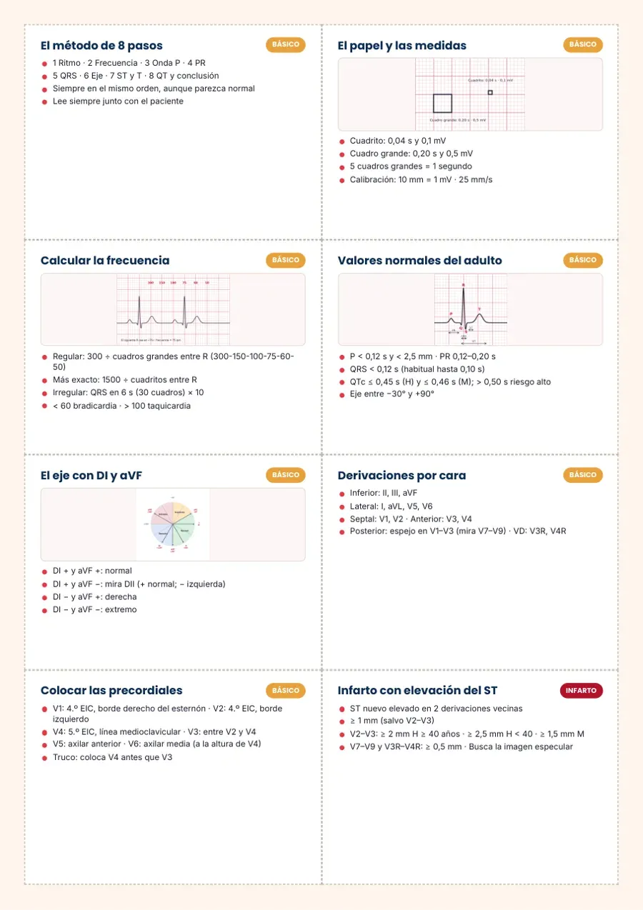 Fichas de bolsillo