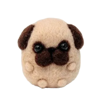 Módulo 6