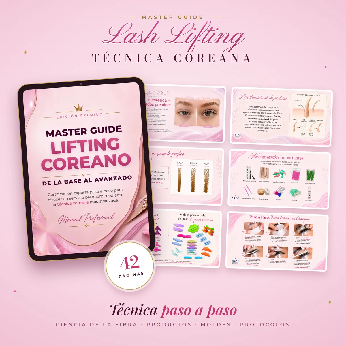 MUSE - Master Guide Lifting Coreano